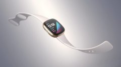 FitbitOS 5.0 ¿ֱSense